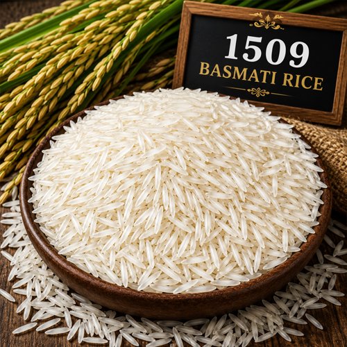 1509 Basmati Rice